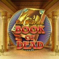 Gra 16 z katalogu Twindor Casino