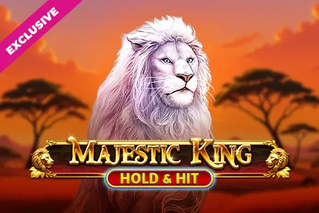 Gra 20 z katalogu Twindor Casino